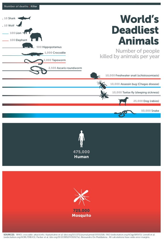 Mosquito-Week-Infographic